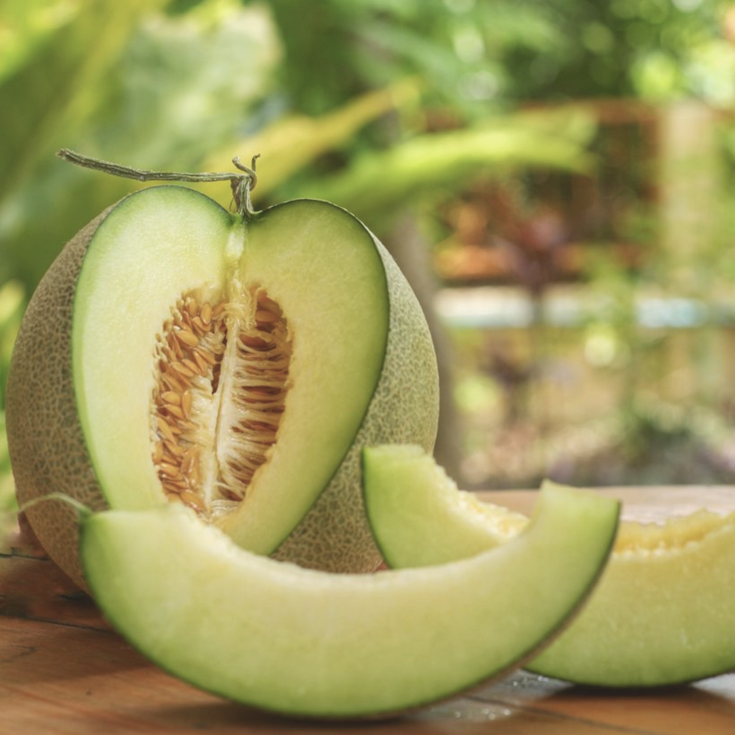 Green Honeydew Melon Seeds