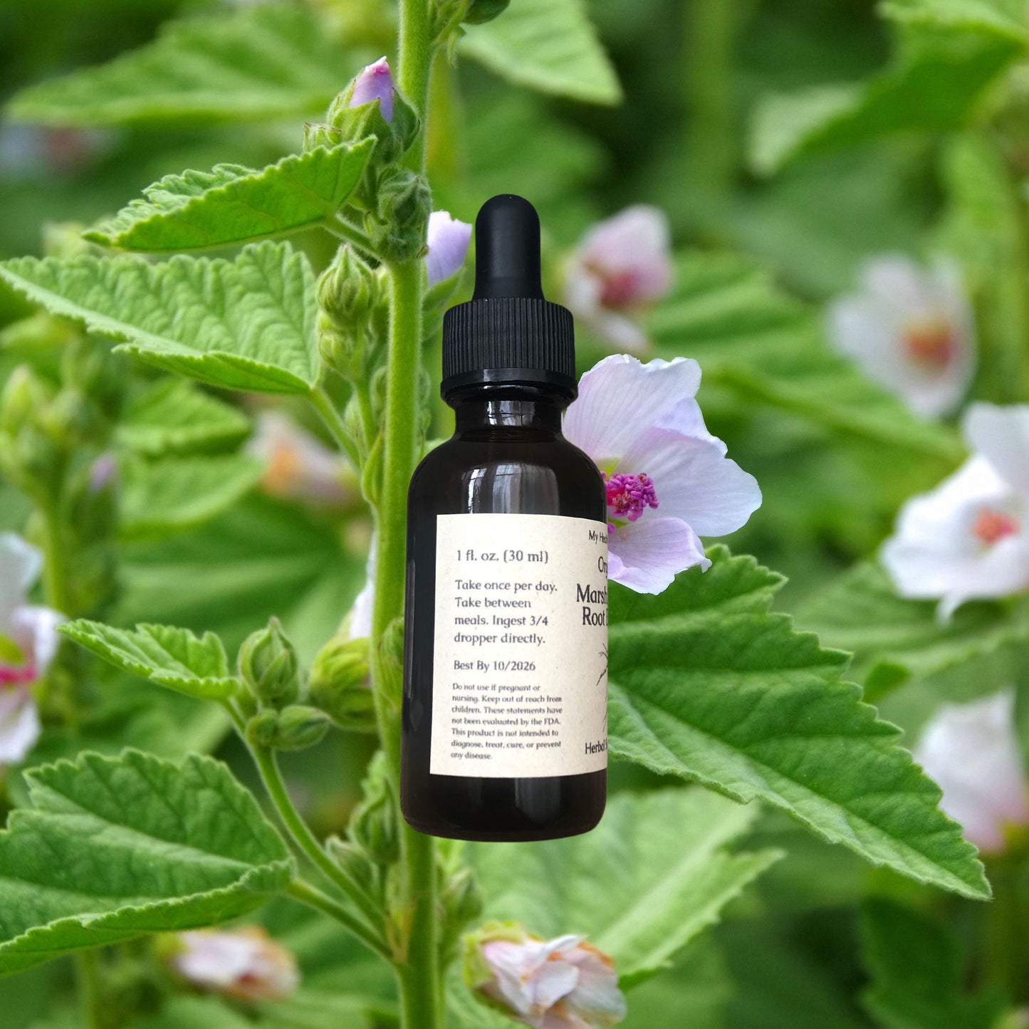 Organic Marshmallow Root Extract