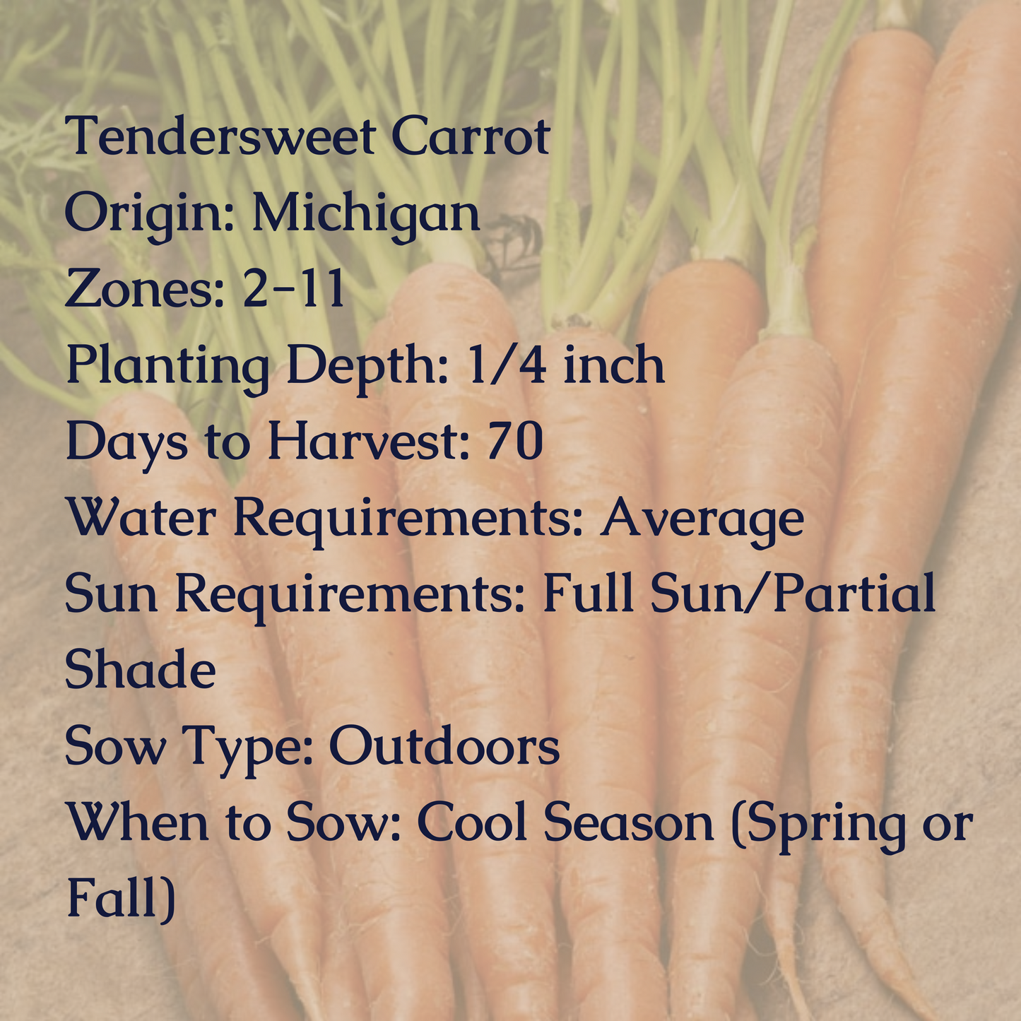 Tendersweet Carrot Seeds