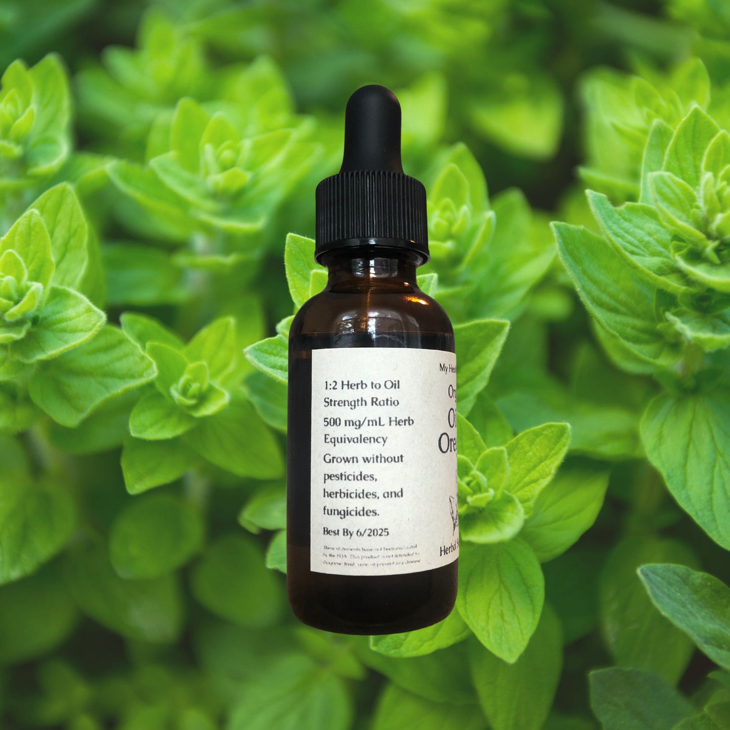 Organic Oregano Oil Extract