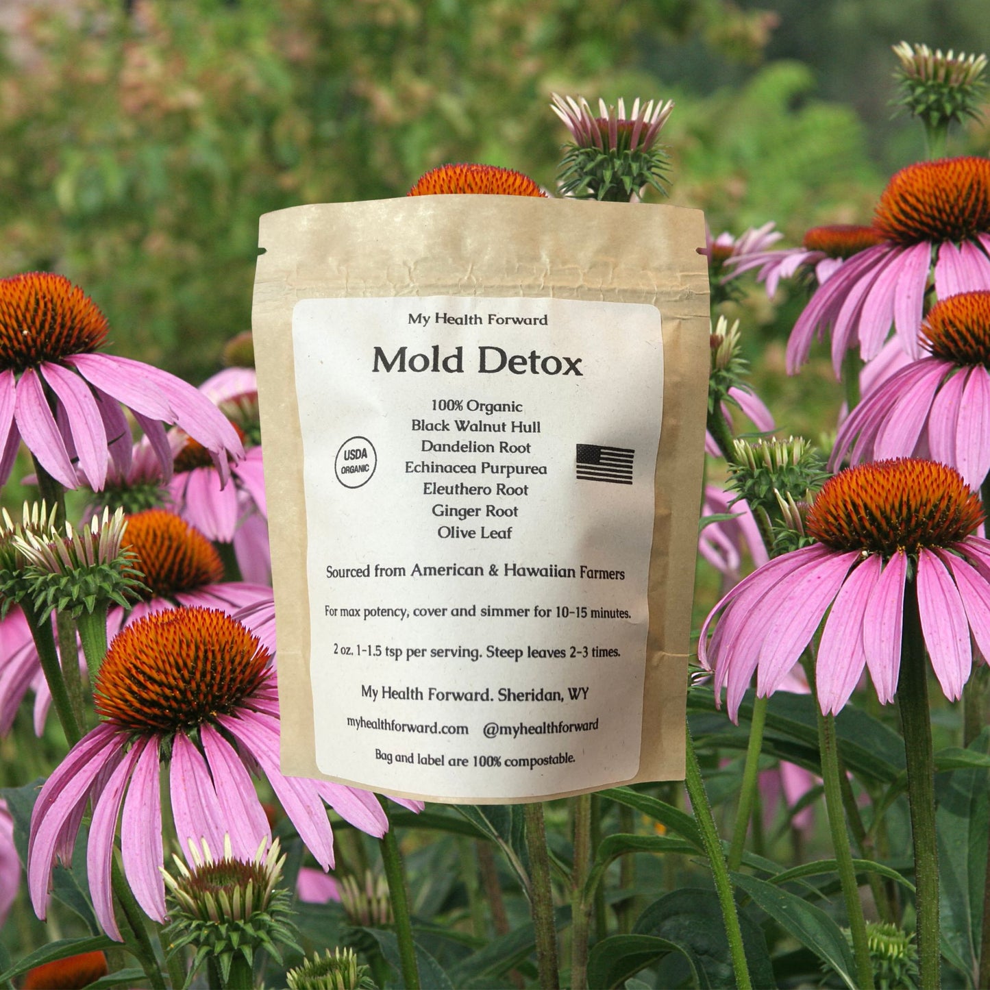 Mold Detox Organic Herbal Tea