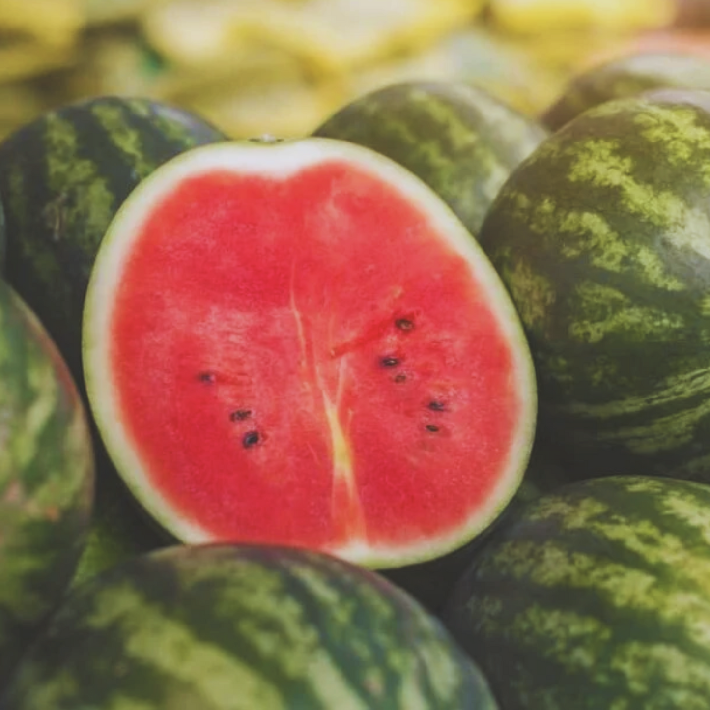 All Sweet Watermelon Seeds