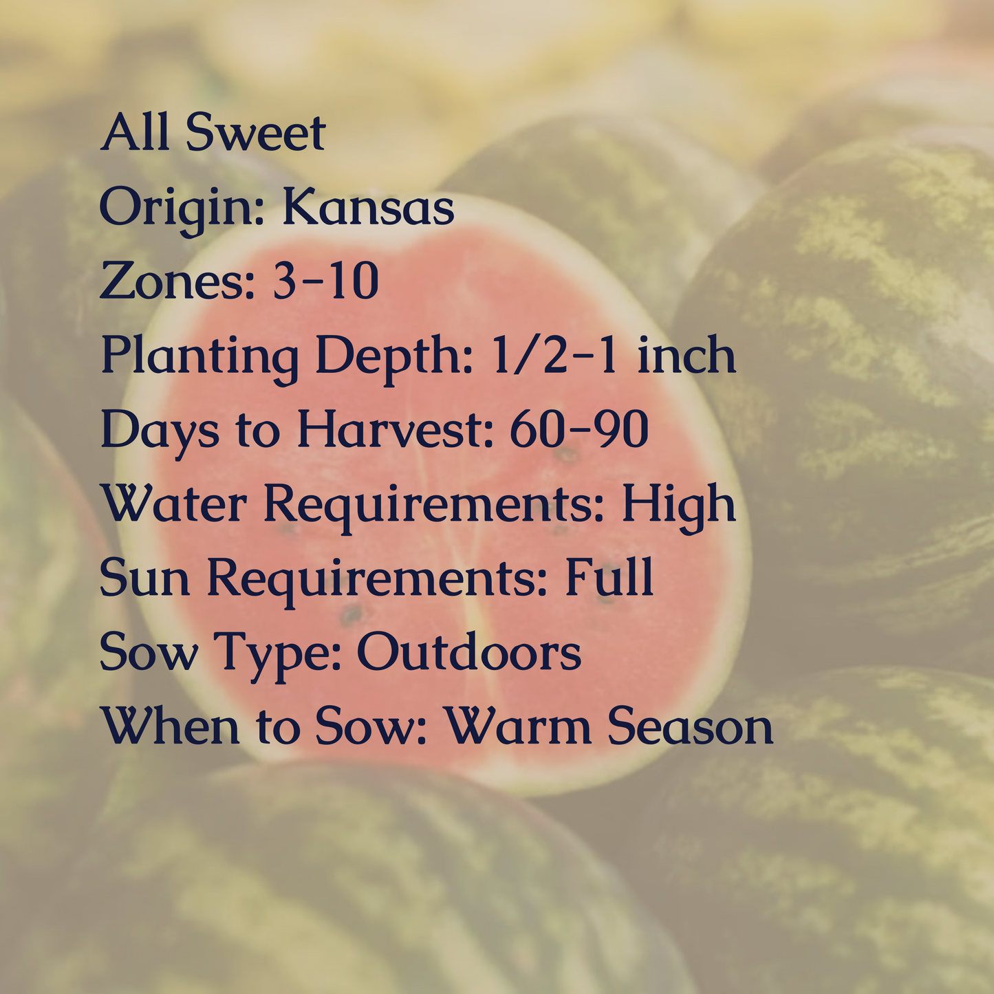 All Sweet Watermelon Seeds