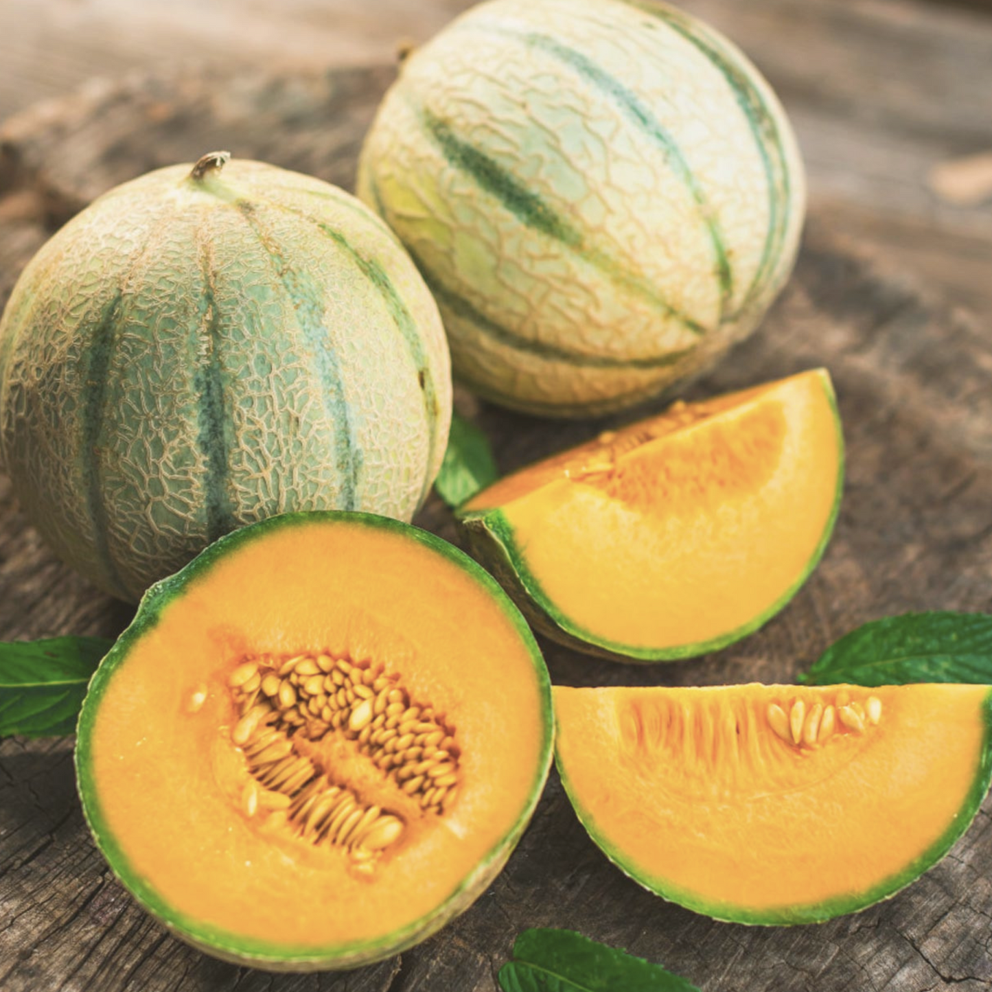Hearts of Gold Melon Seeds