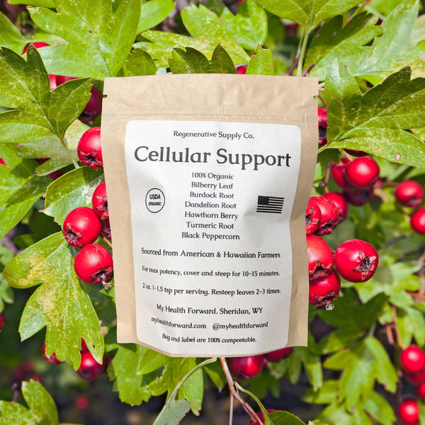 Cellular Support Organic Herbal Tea