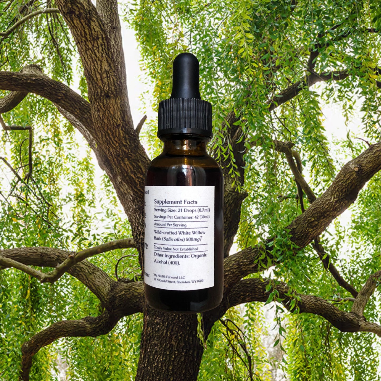 Organic White Willow Bark Tincture