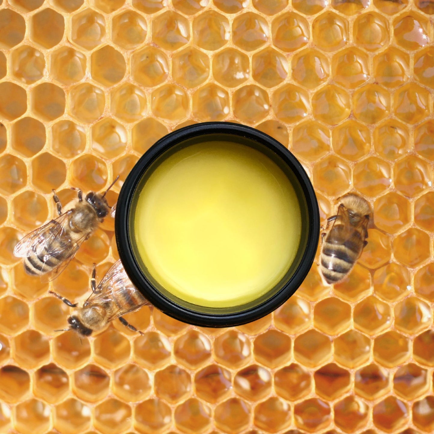 Organic Calendula Salve