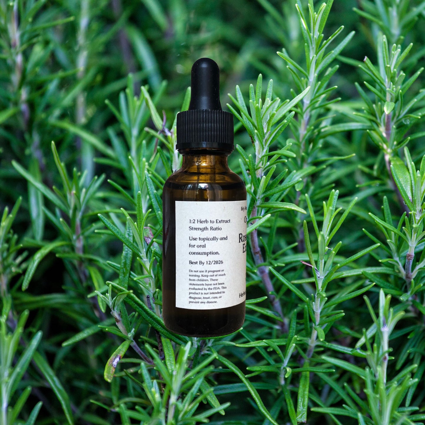 Organic Rosemary Hair Growth Extract