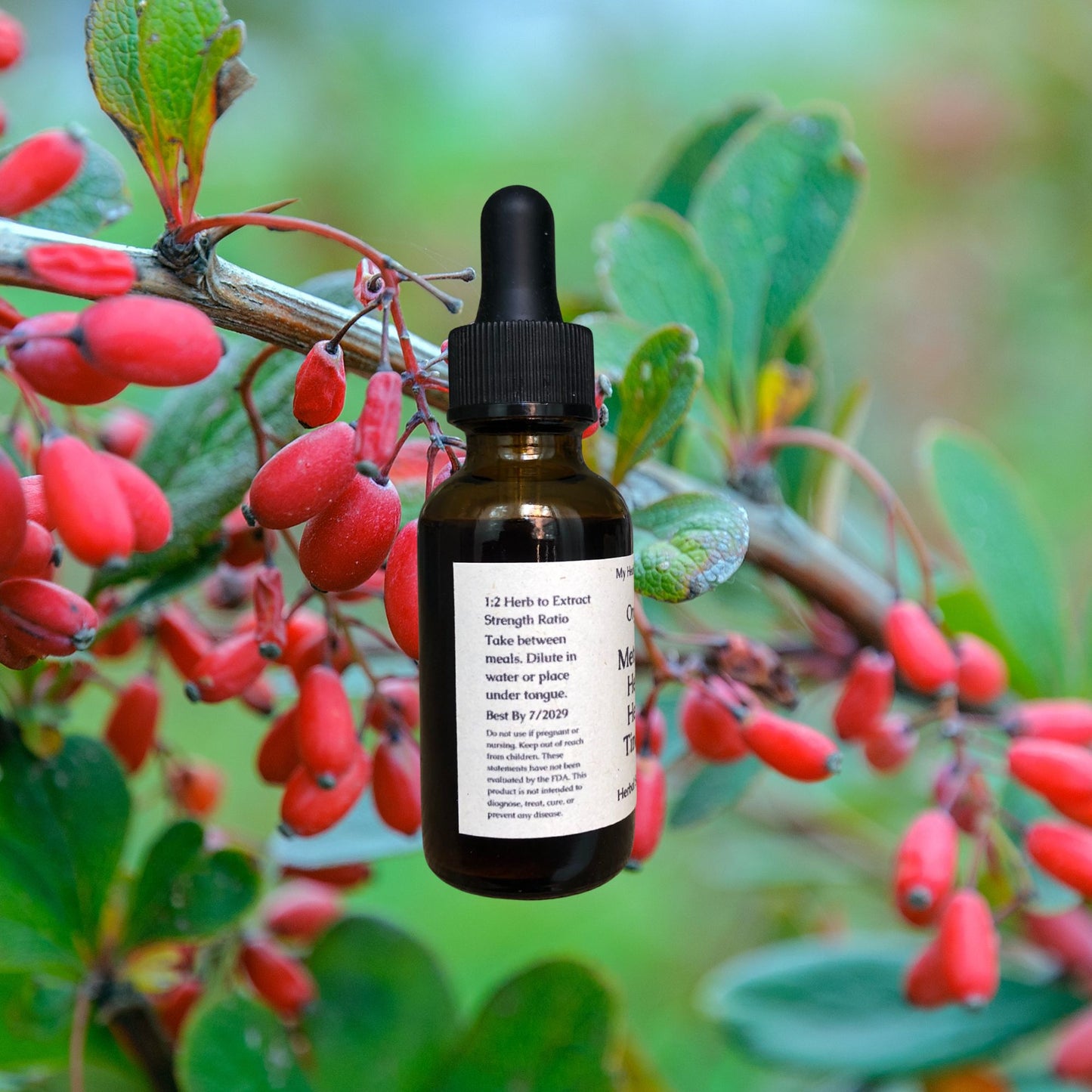 Organic Metabolic Health Tincture