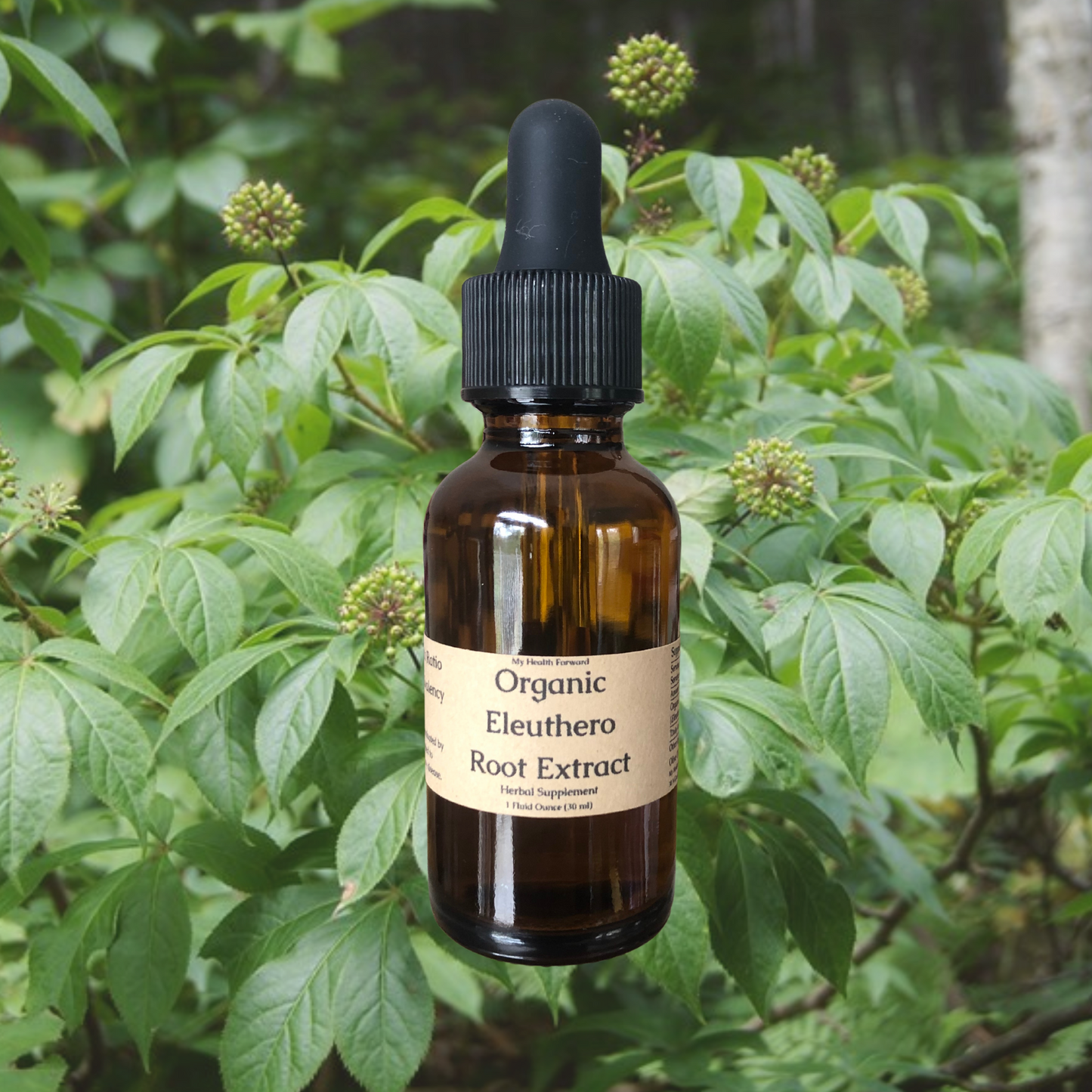 Organic Medicinal Herbal Extract Tinctures