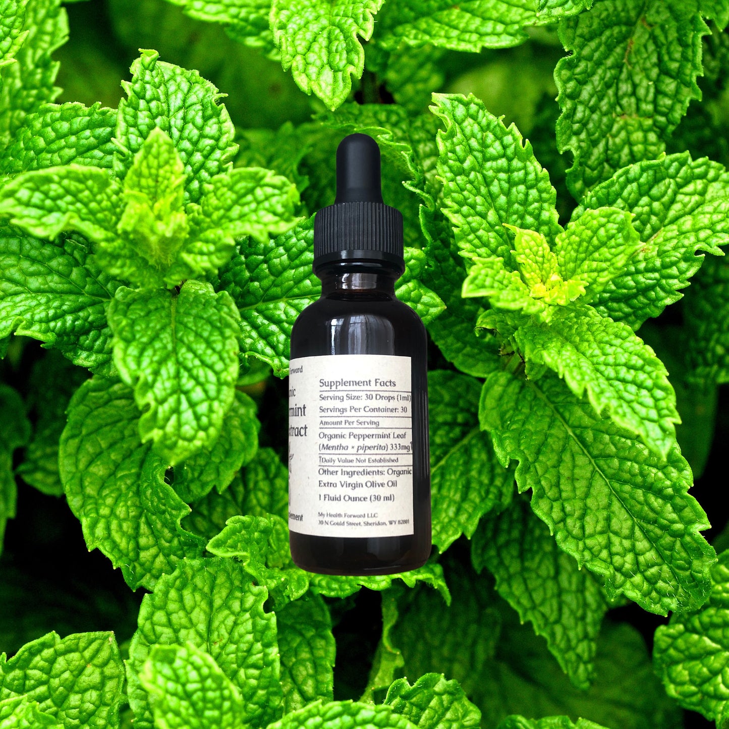 Organic Peppermint Leaf Tincture