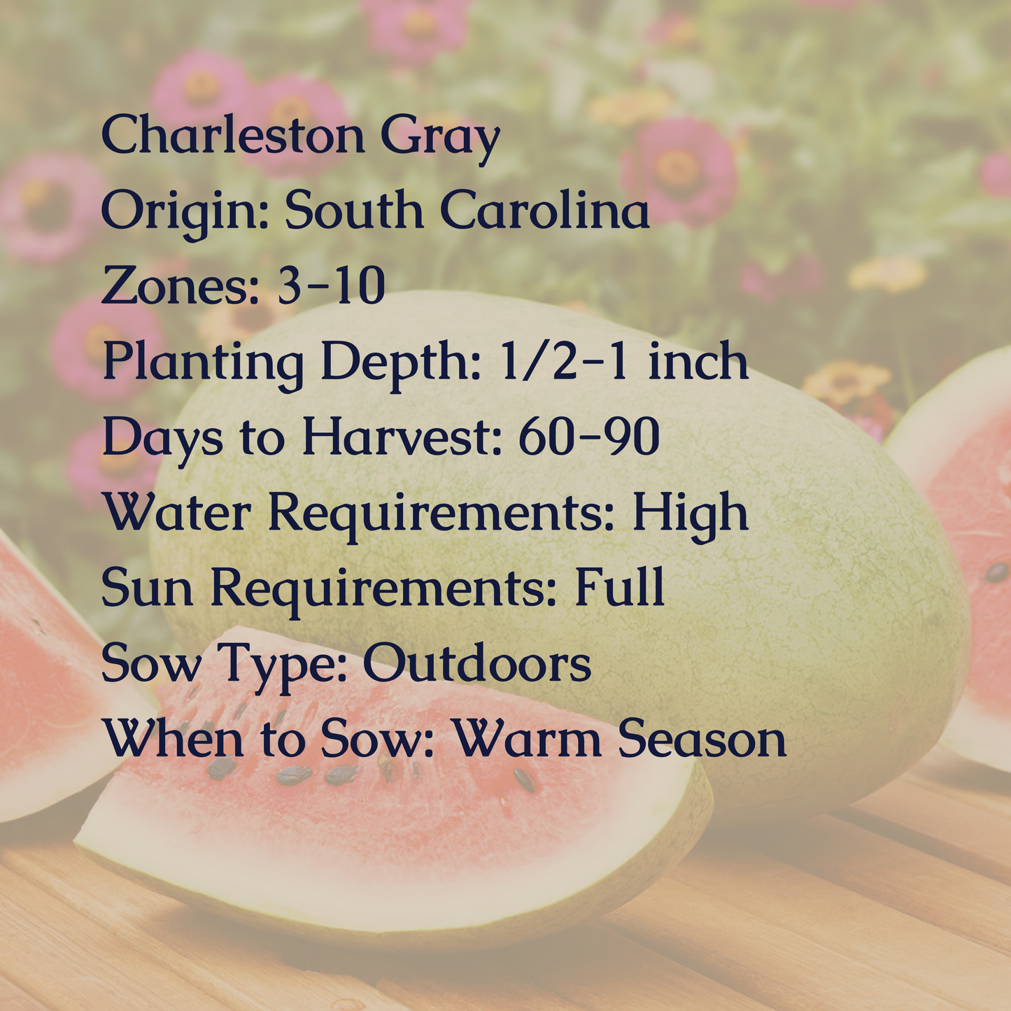 Charleston Gray Watermelon Seeds
