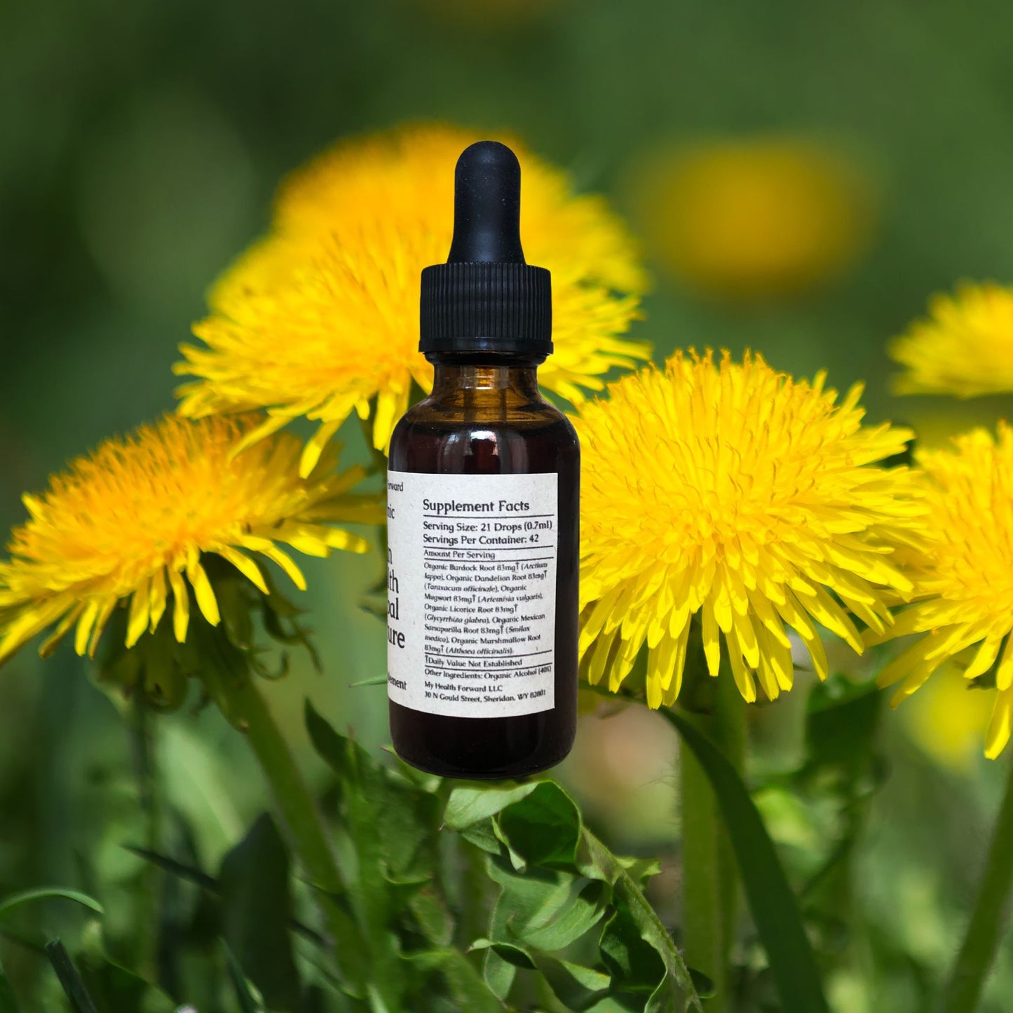 Organic Skin Health Tincture