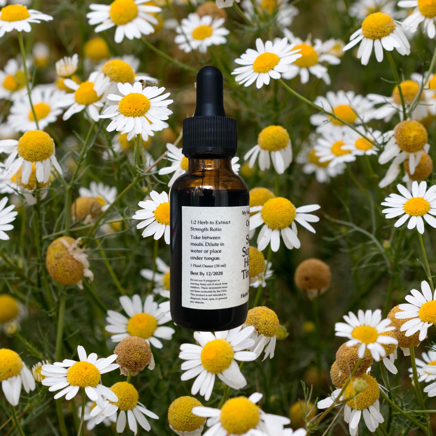 Organic Sleep Support Tincture