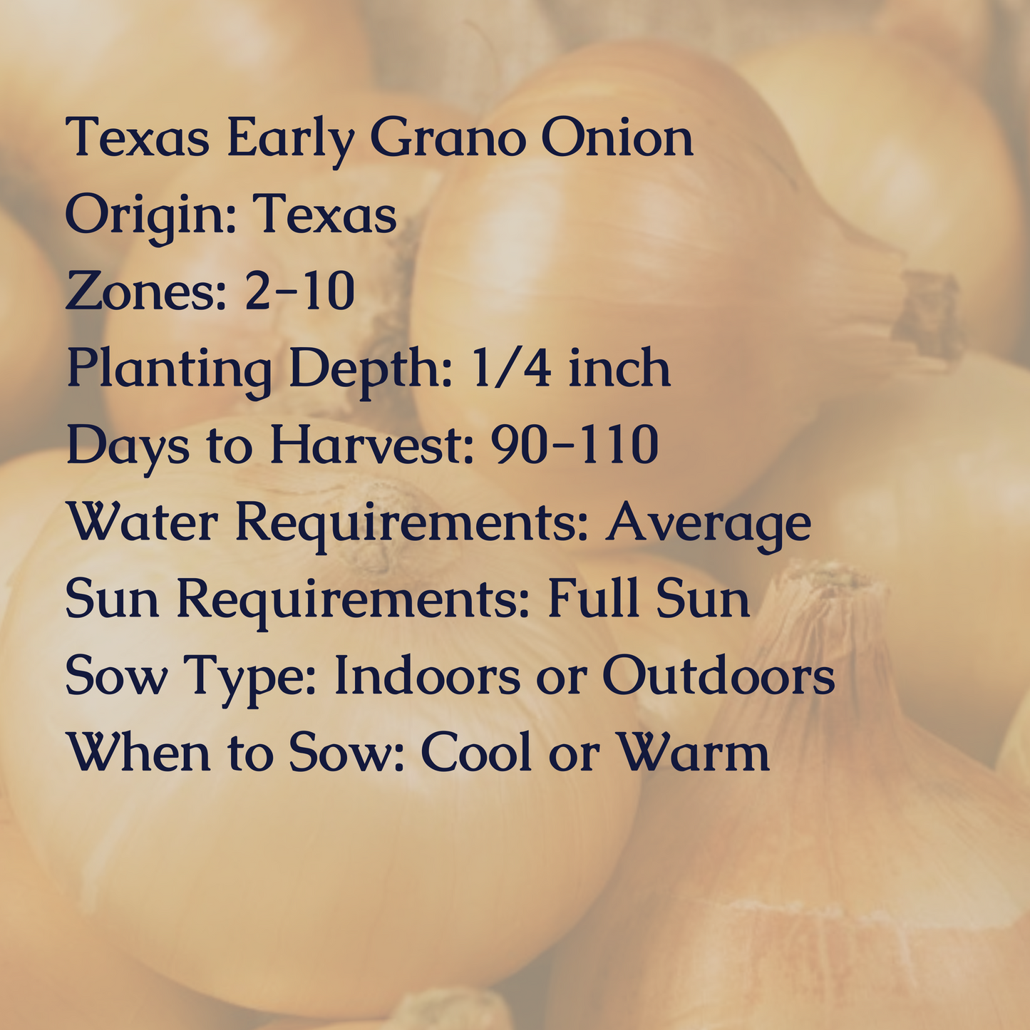 Texas Early Grano Onion Seeds