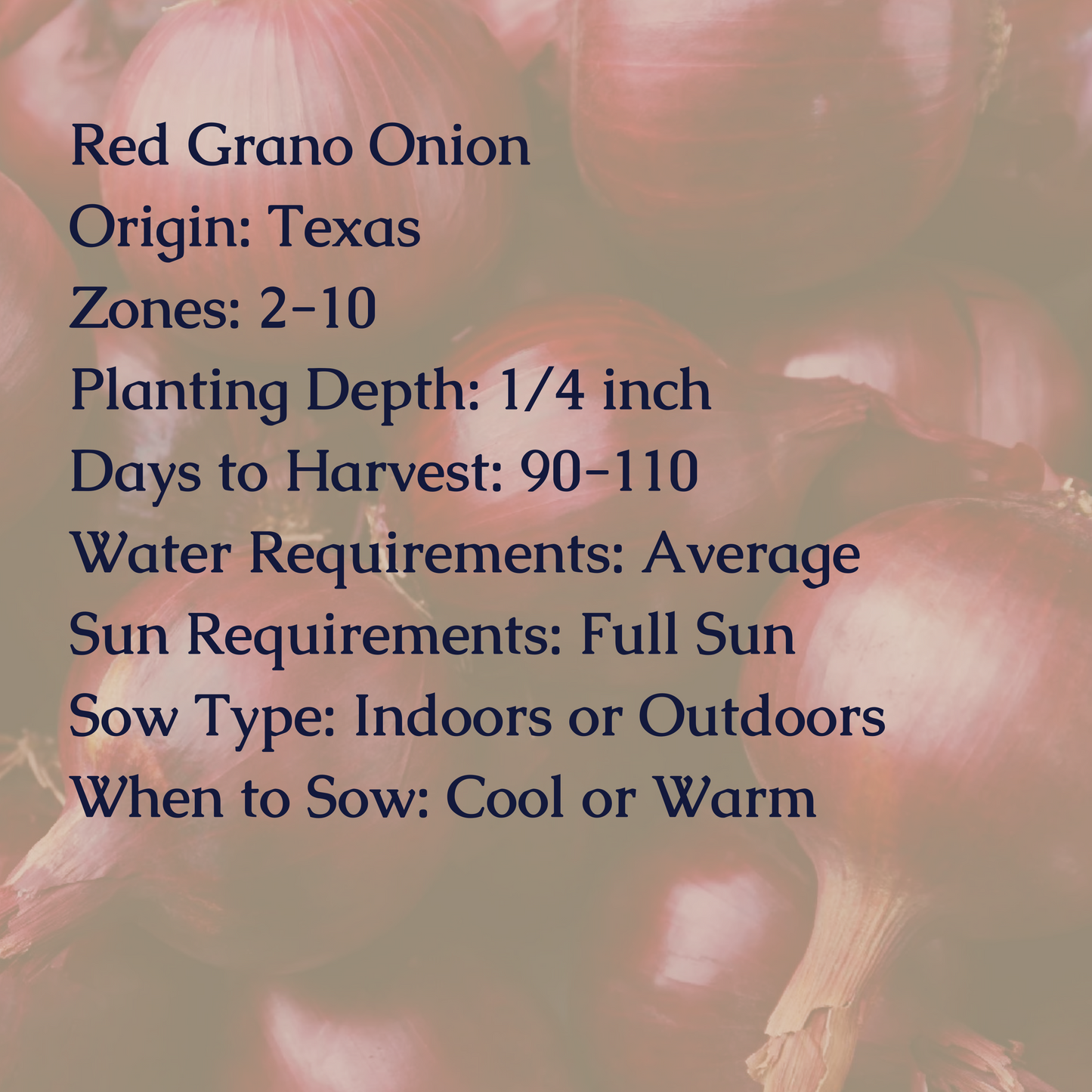 Red Grano Onion Seeds
