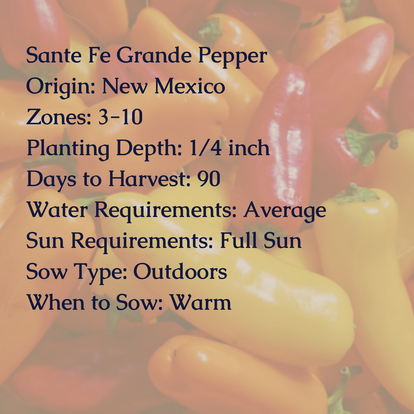 Santa Fe Grande Hot Pepper Seeds