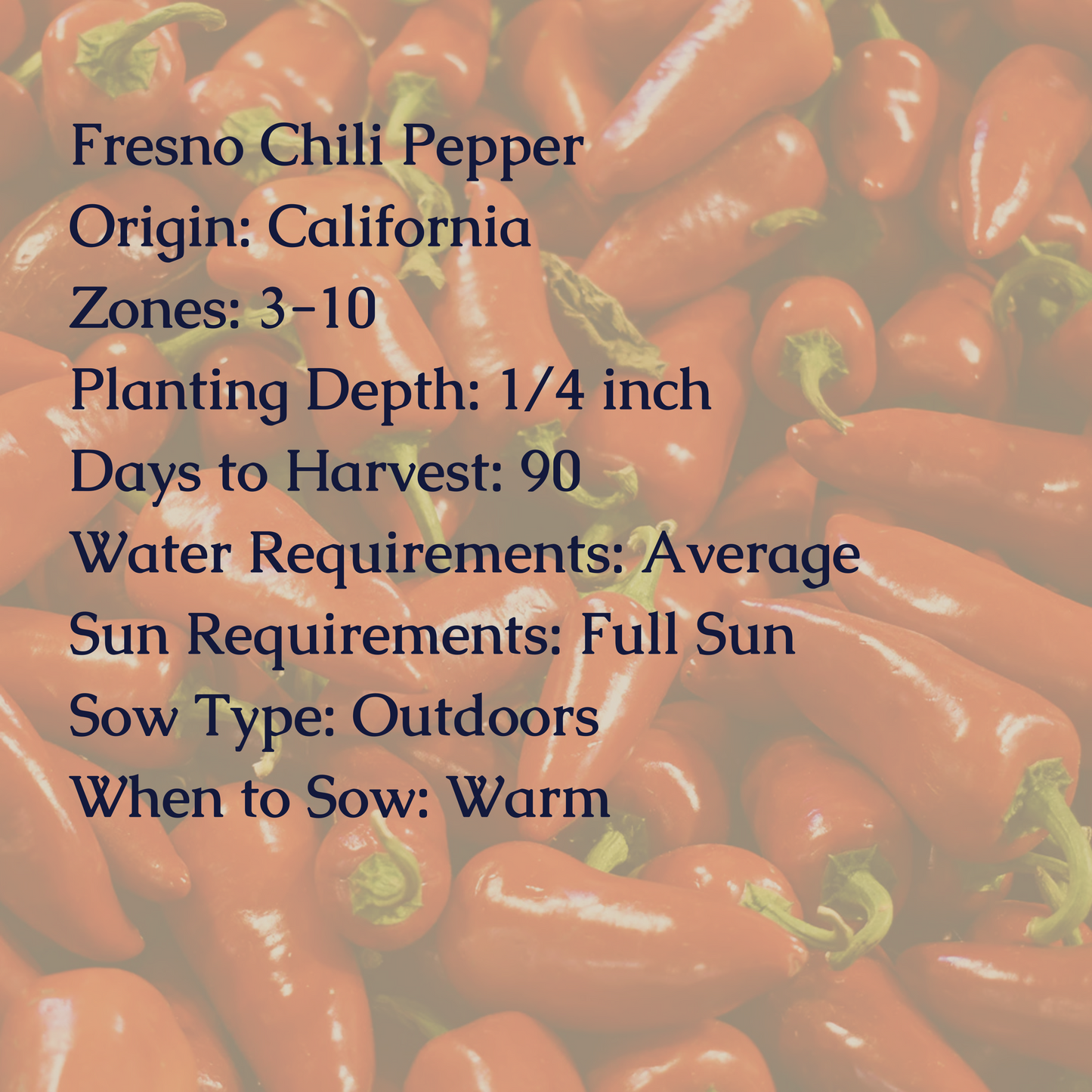 Fresno Chili Pepper Seeds