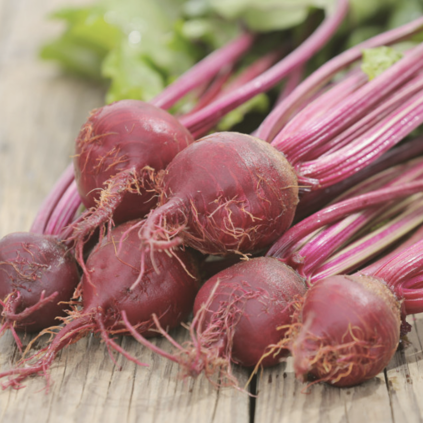 Ruby Queen Beet Seeds