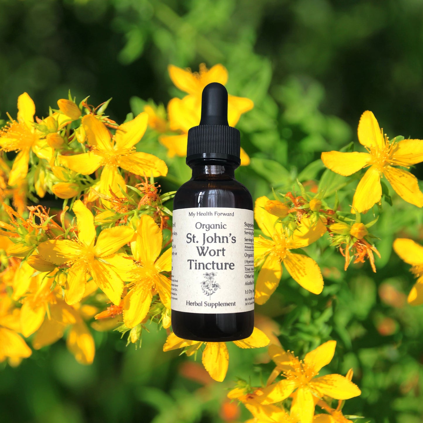 St. John's Wort Tincture