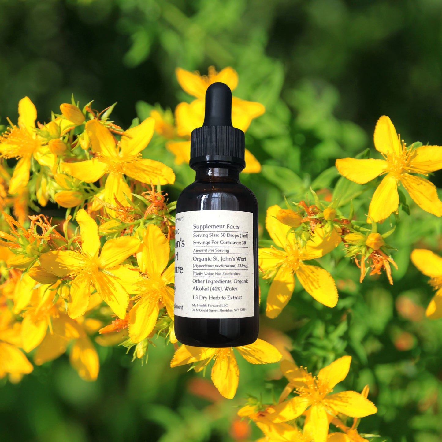 St. John's Wort Tincture