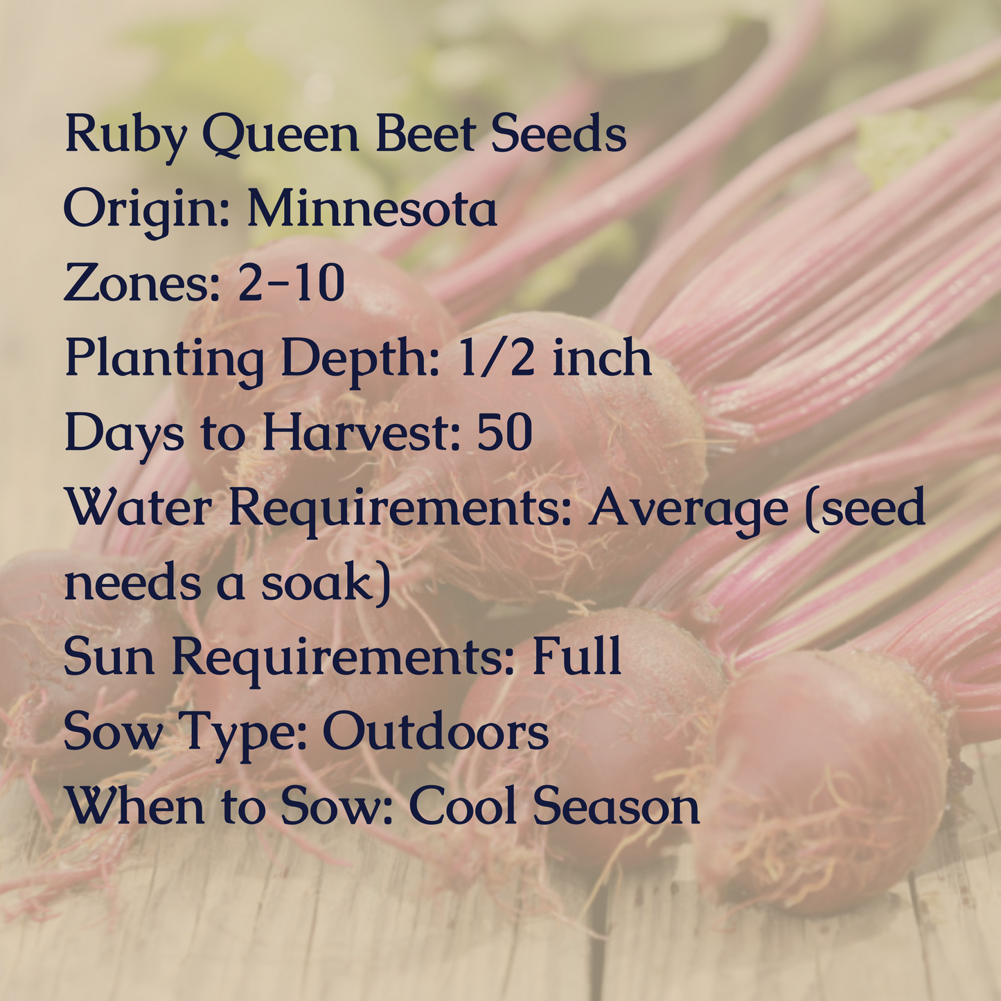 Ruby Queen Beet Seeds