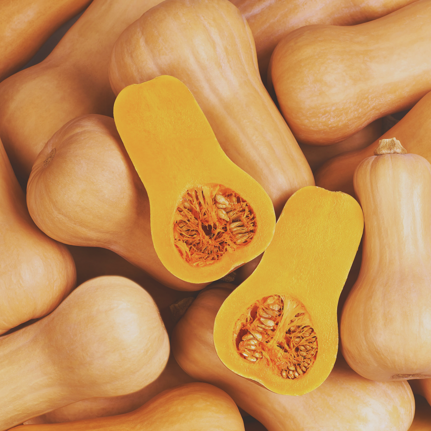 Waltham Butternut Winter Squash Seeds