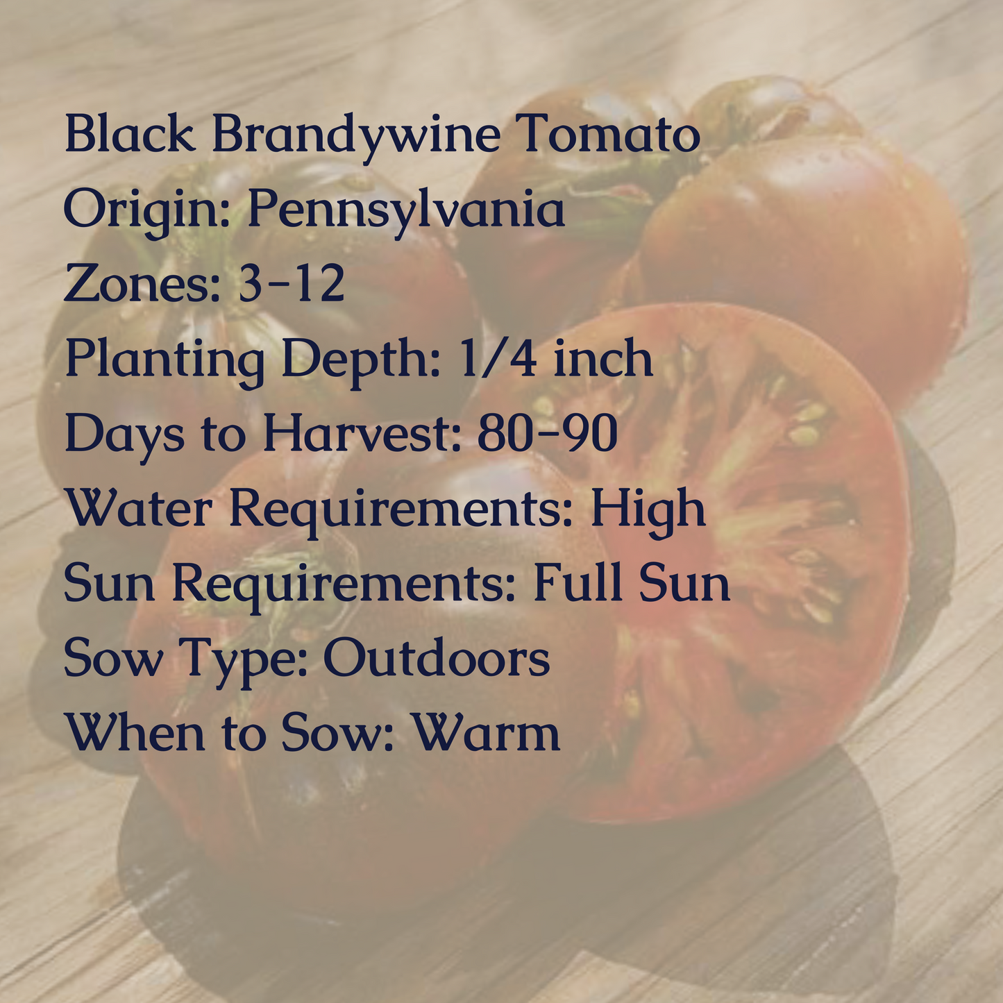 Black Brandywine Tomato Seeds