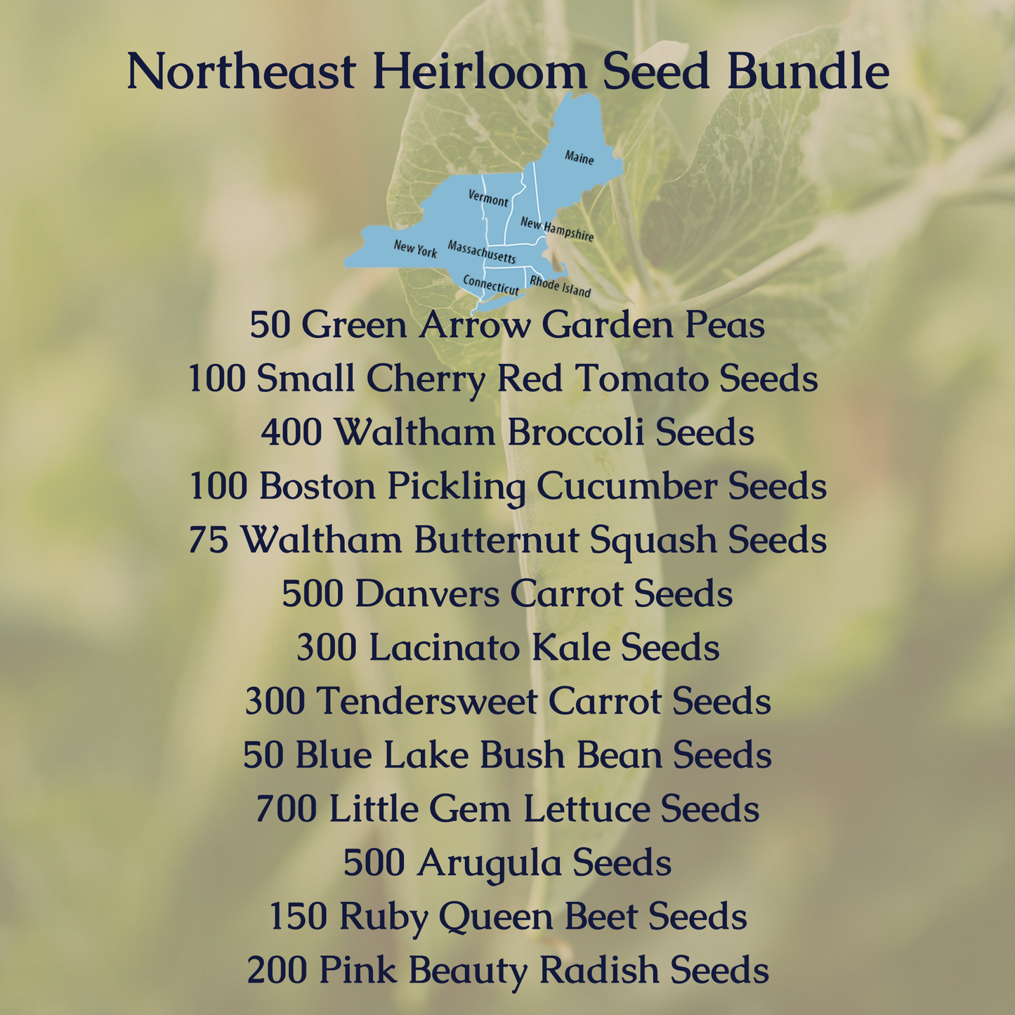 Northeast Heirloom Seed Bundle