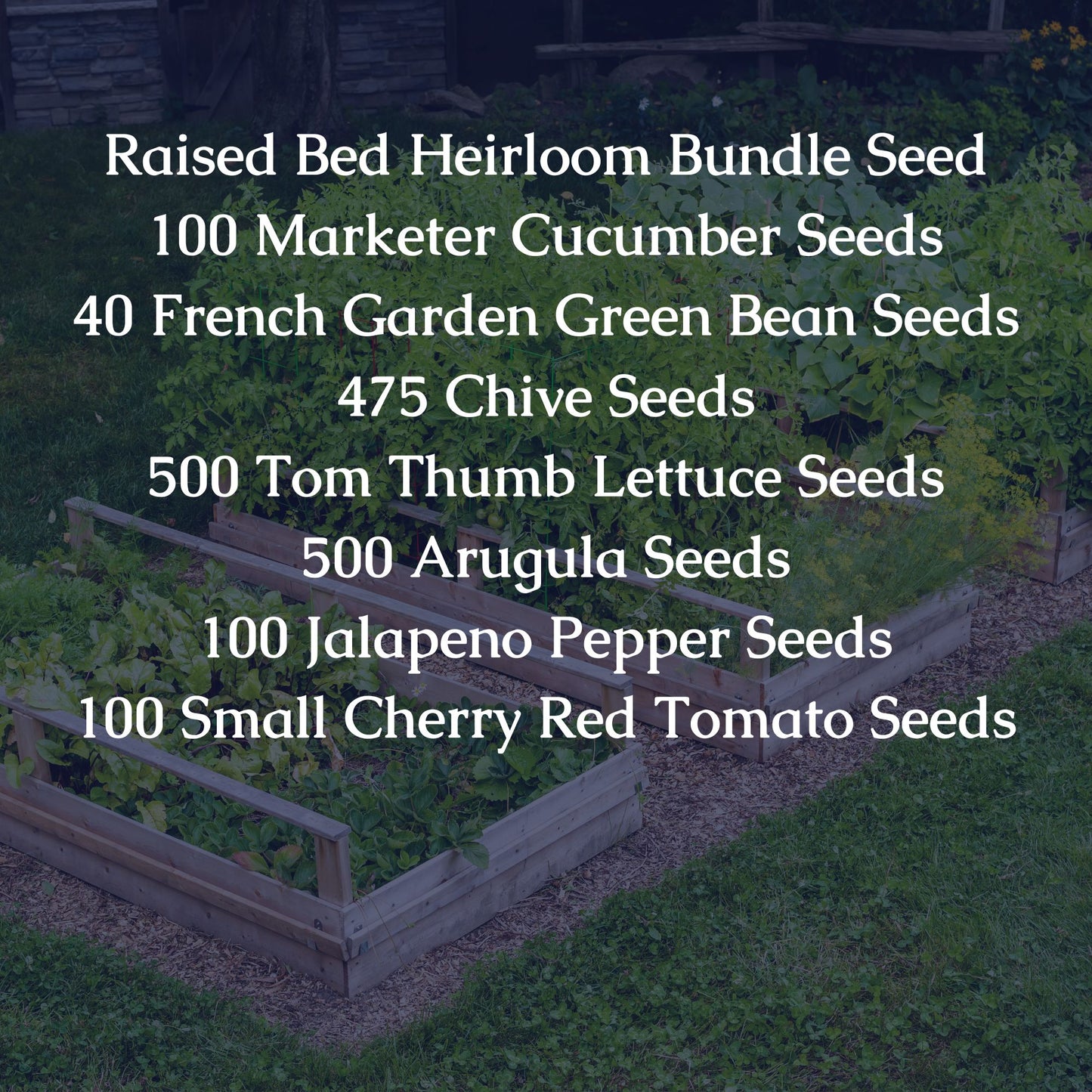 Raised Garden Bed Heirloom Seed Bundle