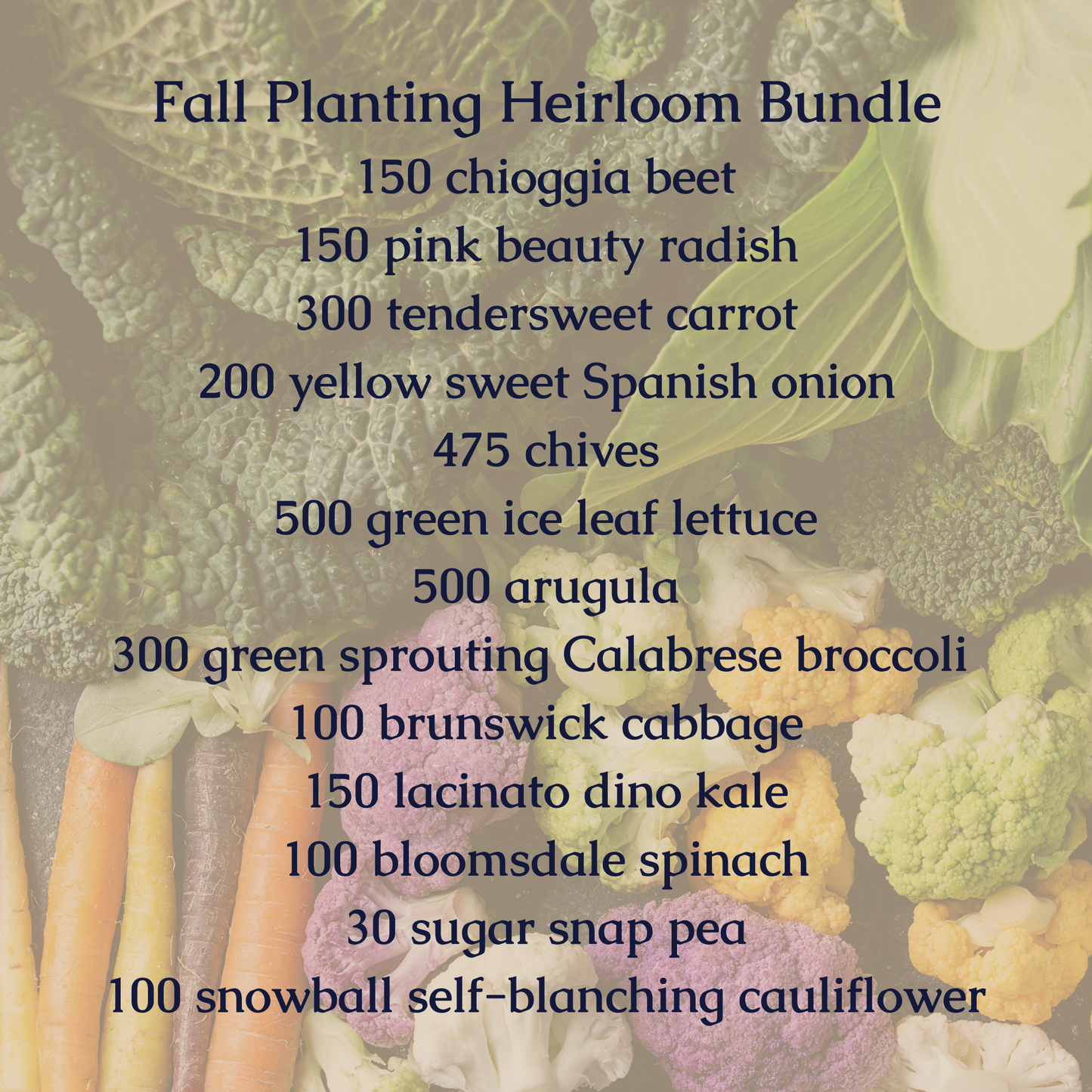 Fall Planting Bundle