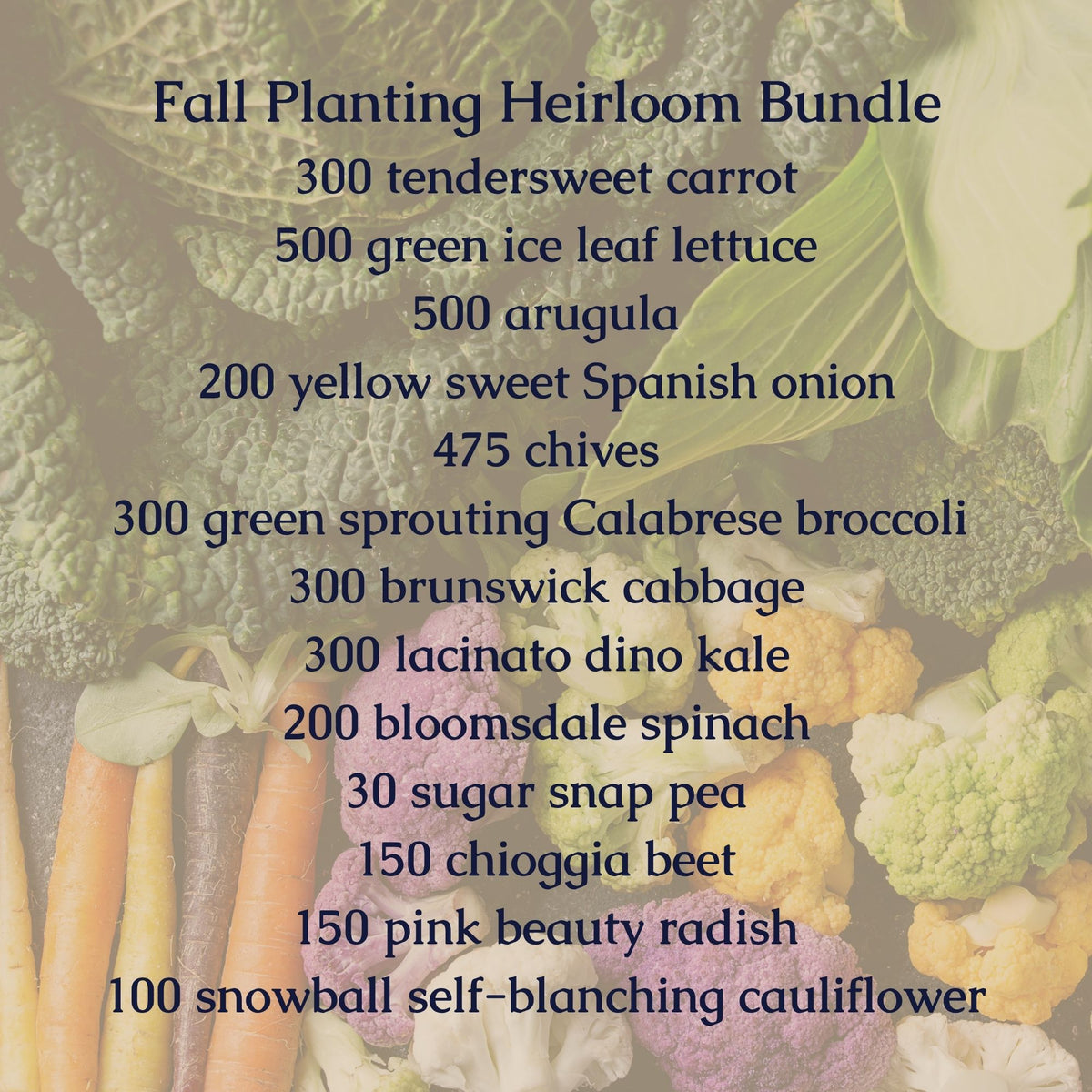 Fall Planting Bundle