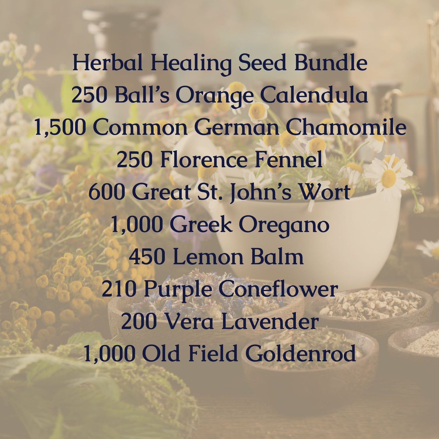 Herbal Healing Seed Bundle