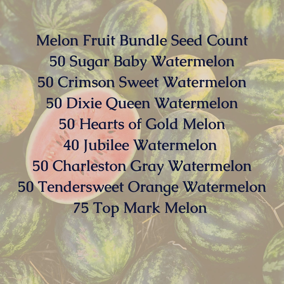 Melon Fruit Seed Bundle
