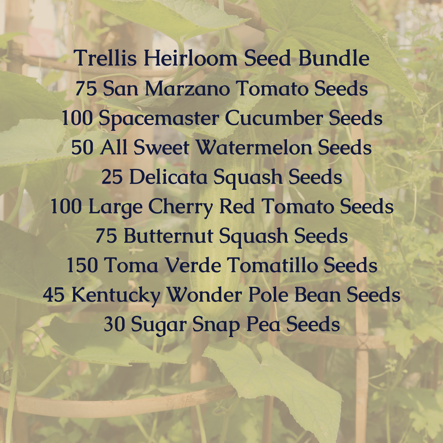 Trellis Heirloom Seed Bundle