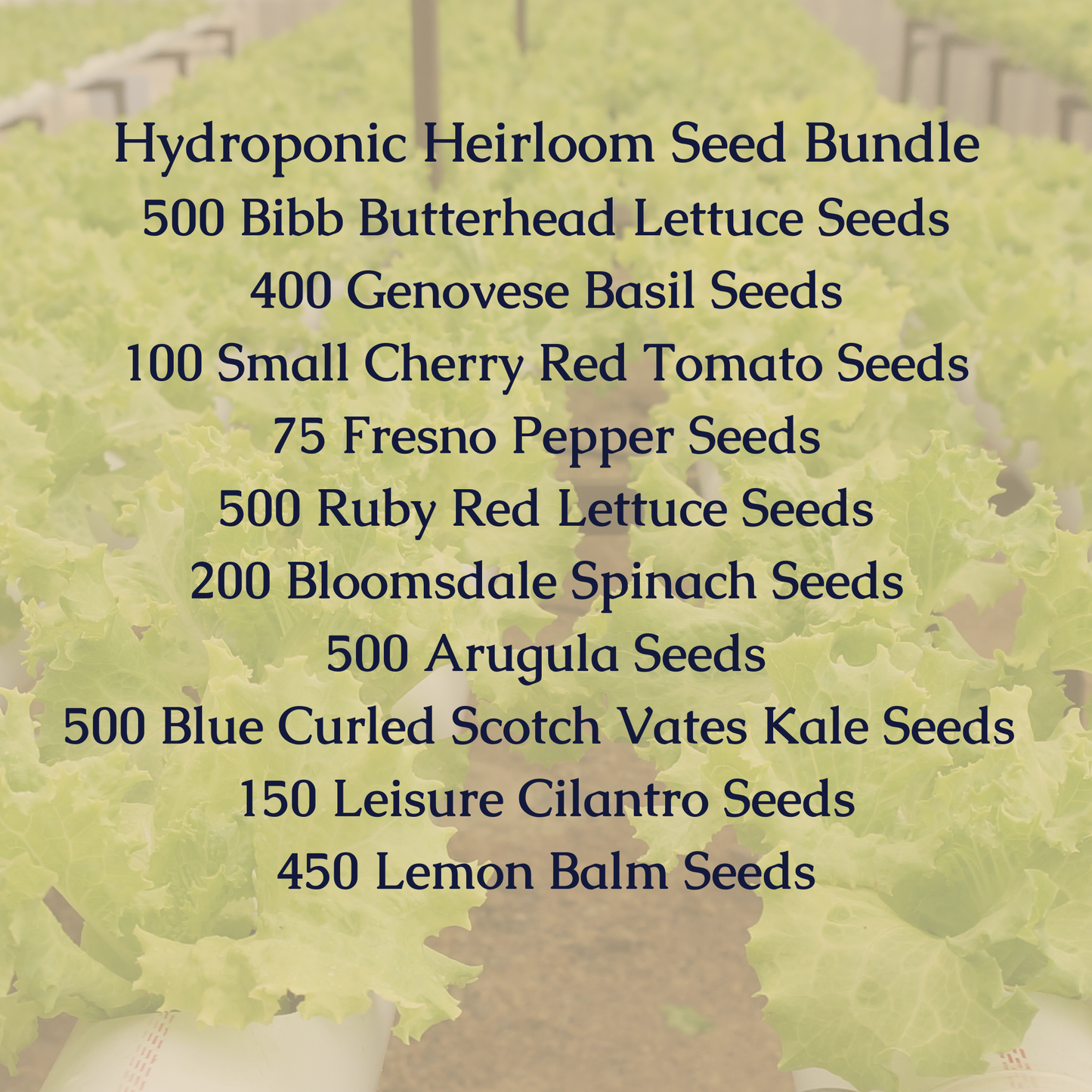 Hydroponic Heirloom Seed Bundle