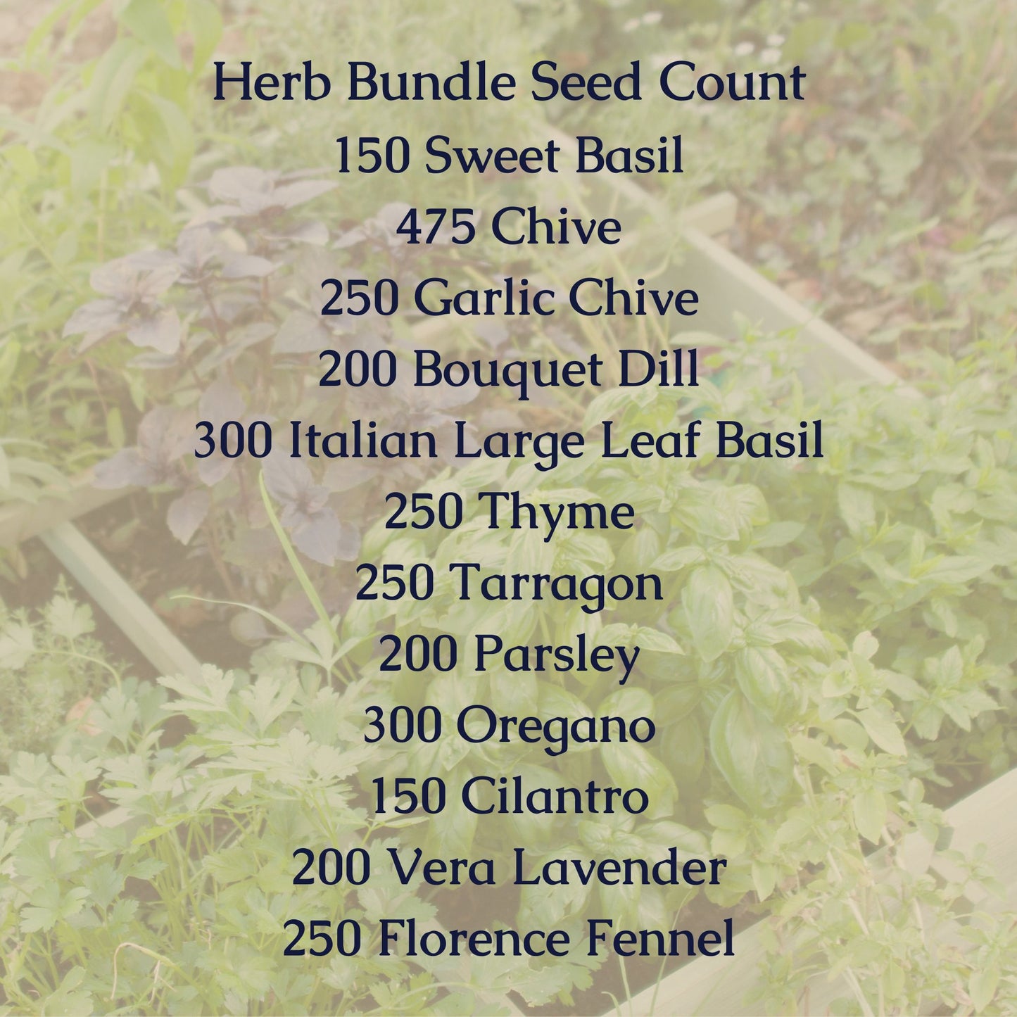 Herb Seed Bundle