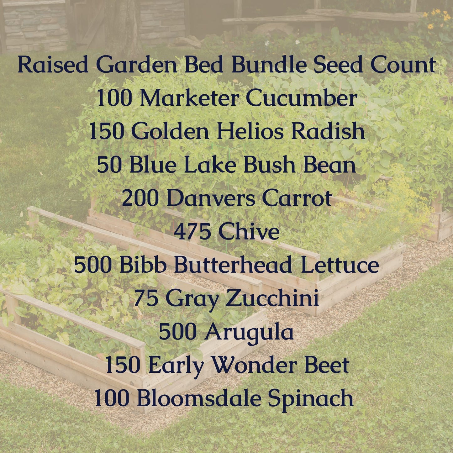 Raised Bed Growing Seed Bundle