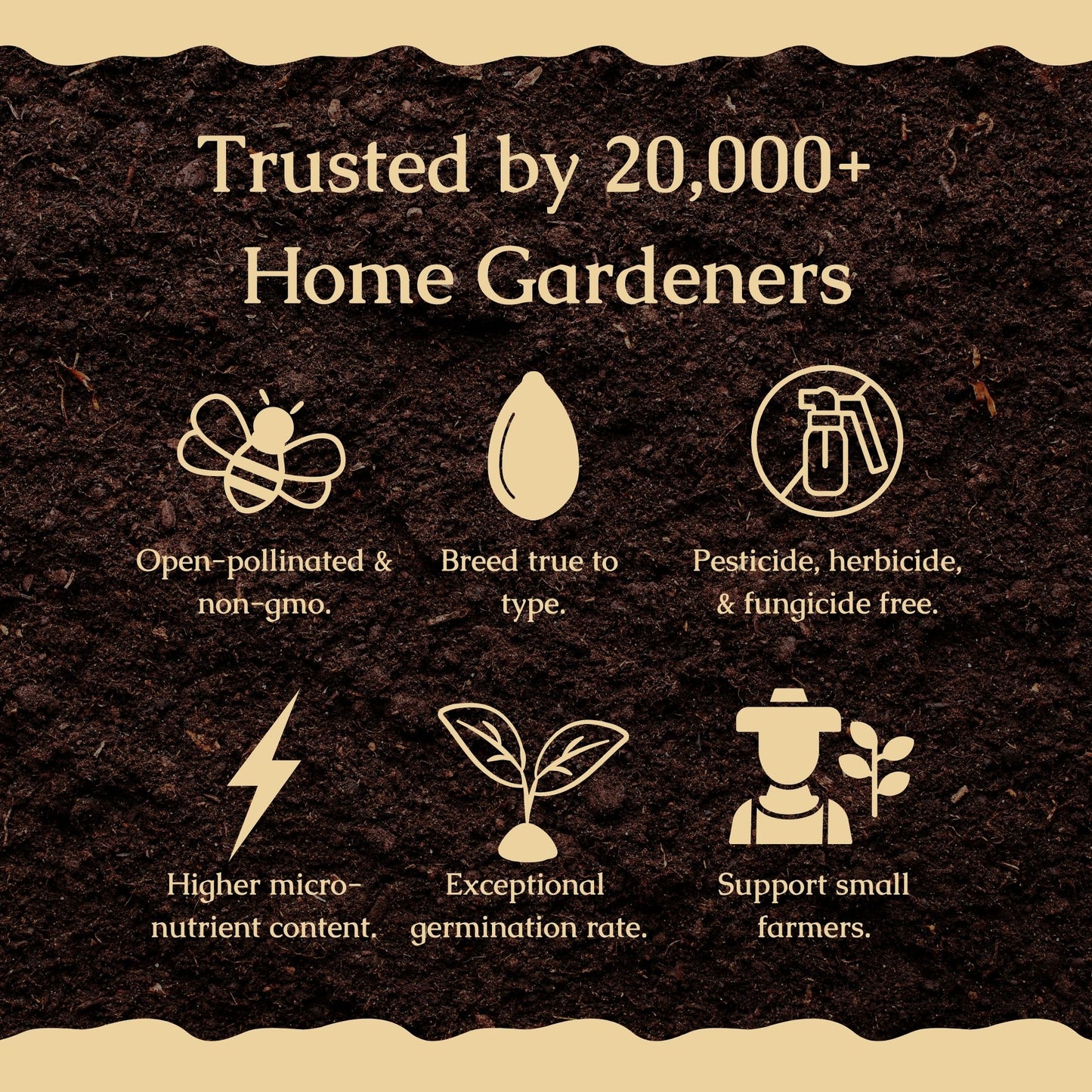 Heirloom Herb Seed Bundle