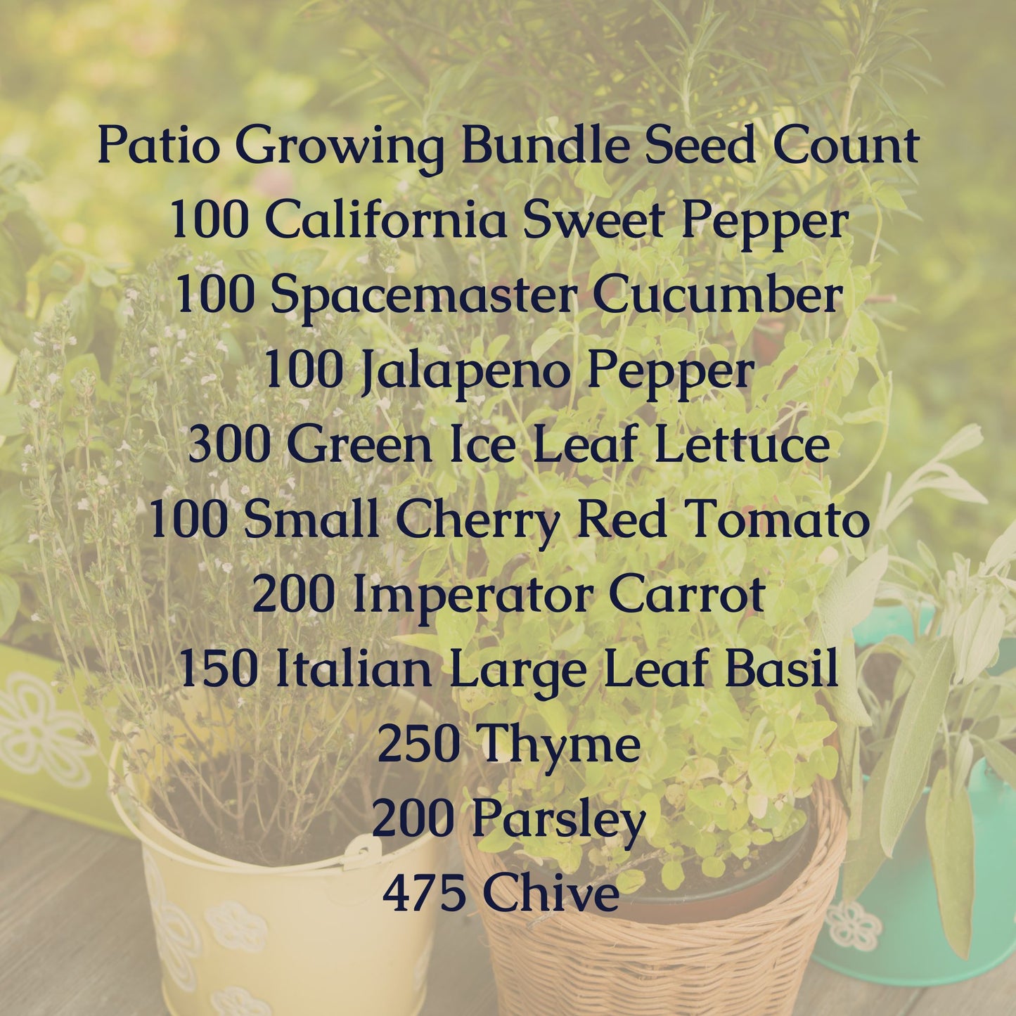 Patio Growing Seed Bundle
