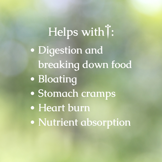 Organic Debloat Digestive Bitters Tincture