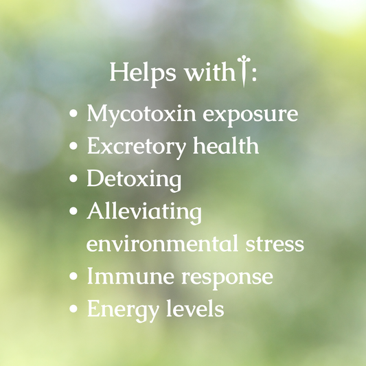 Mold Detox Organic Herbal Tea