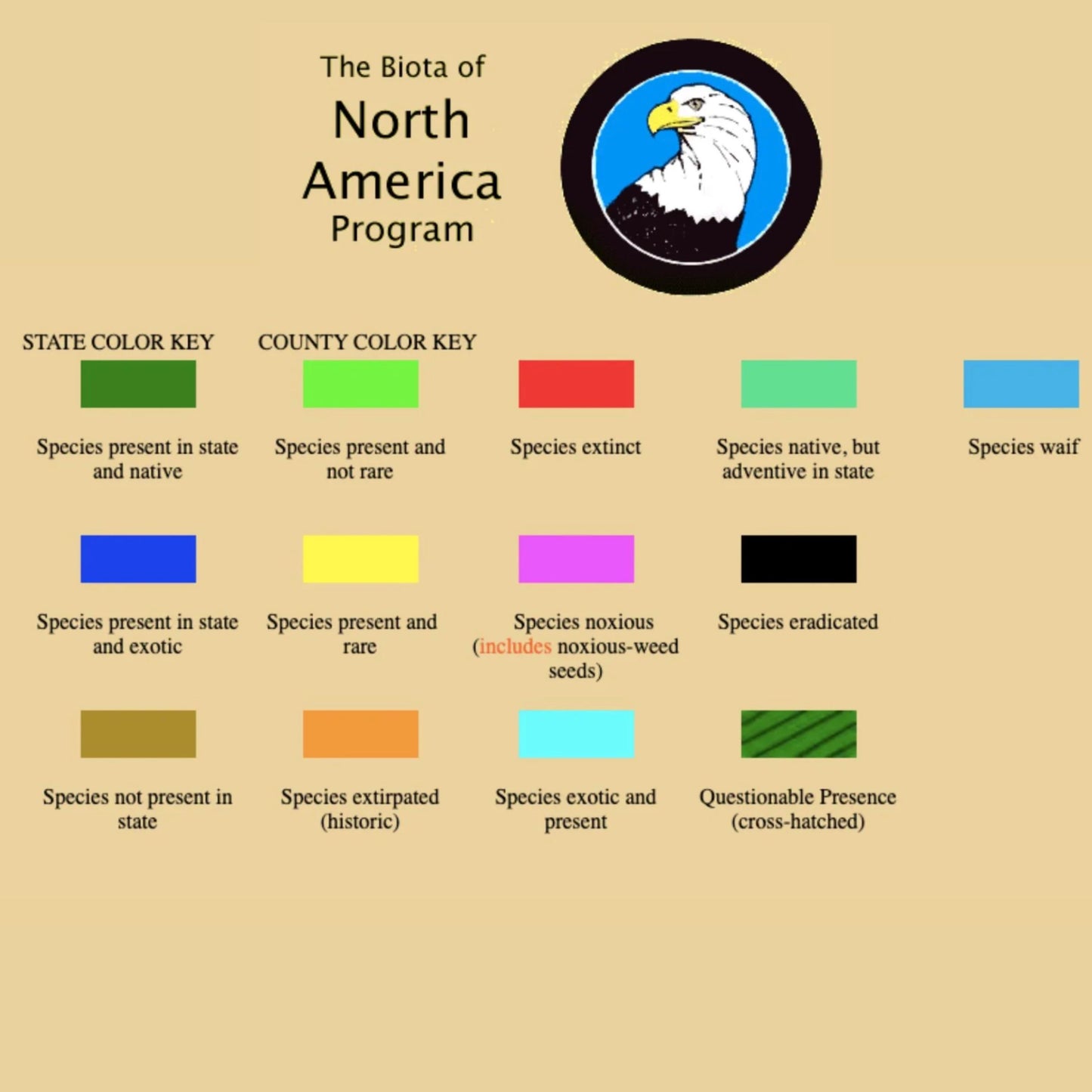 Autumn Sneezeweed - Helenium Autumnale Seeds