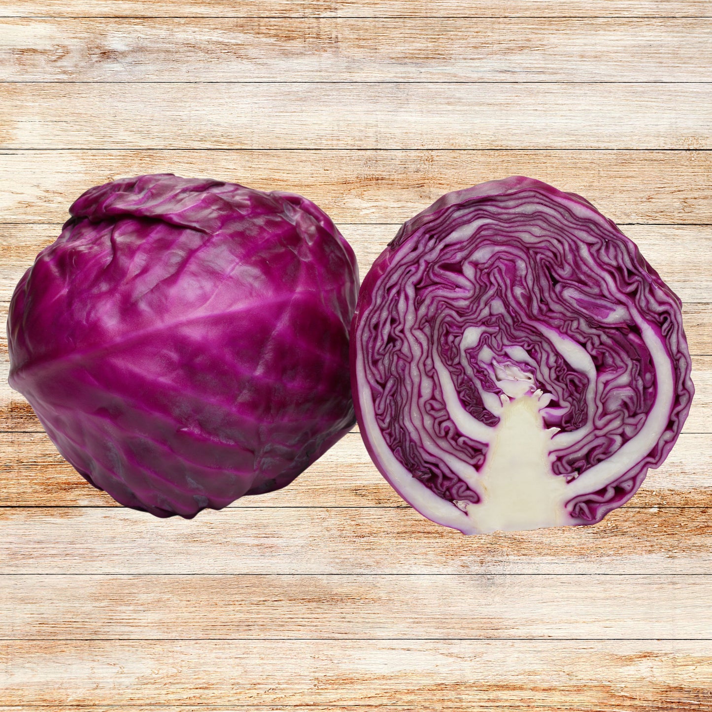 Mammoth Red Rock Cabbage Seeds