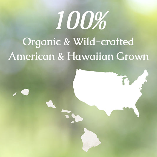 Organic St. John's Wort Tincture