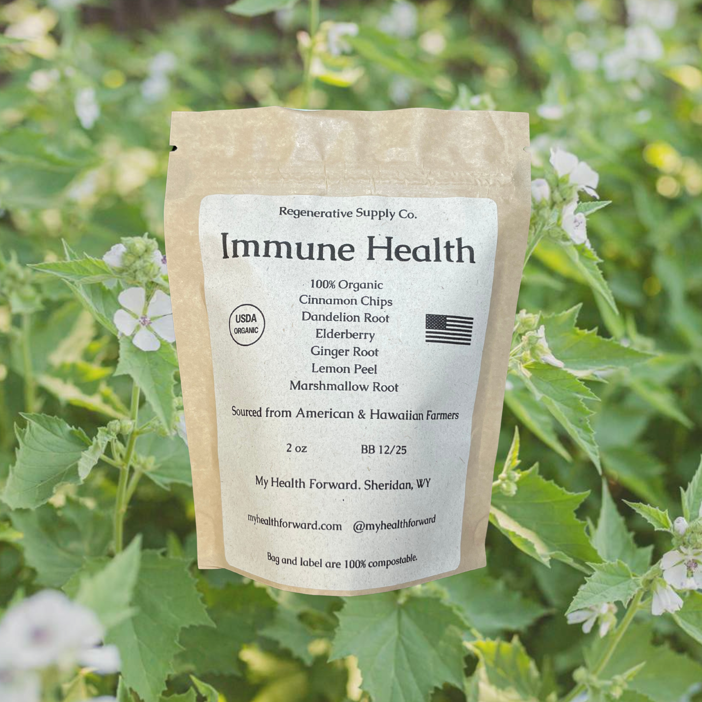 Immune Health Organic Herbal Tea