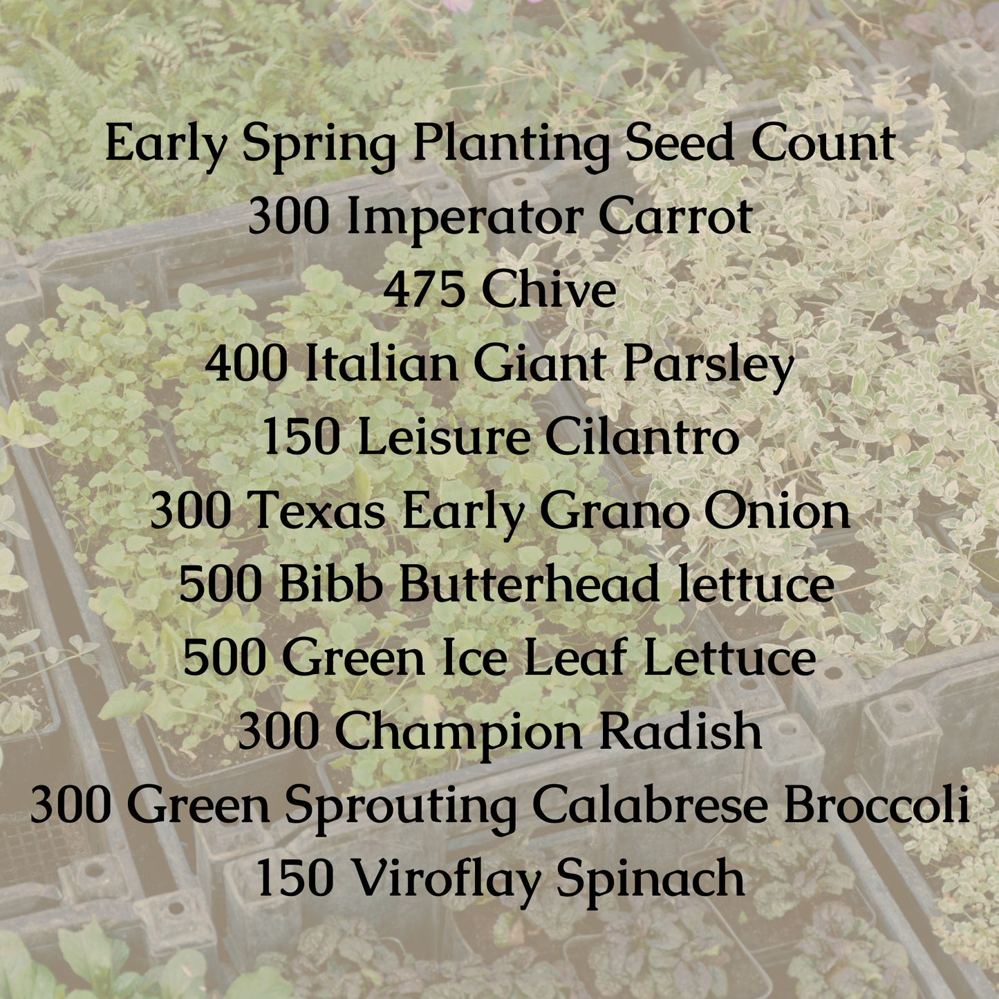 Early Spring Planting Seed Bundle