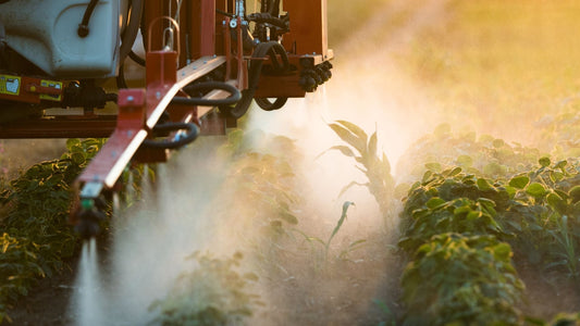 Pesticide Liability Immunity