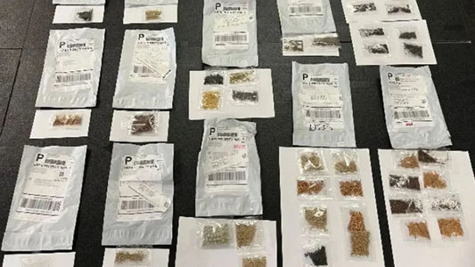 Mystery Seed Packets