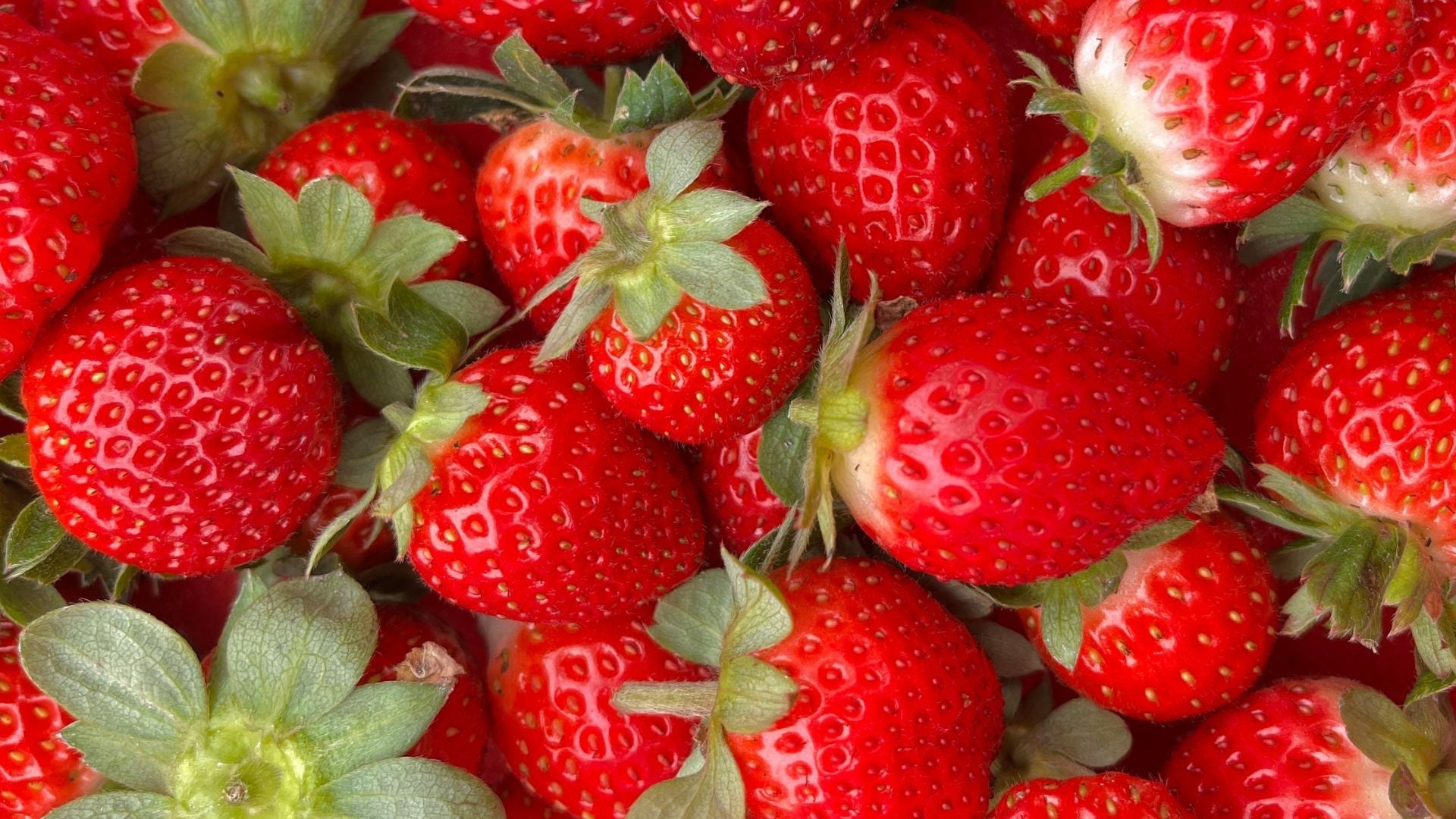 PFAS in Fruits & Vegetables – My Health Forward